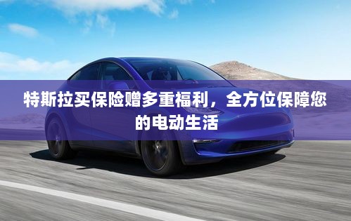 特斯拉保险优惠,多重福利保障电动生活-图1 特斯拉保险优惠,多重福利保障电动生活-图1