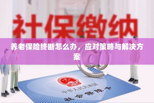 养老保险中断应对指南，解决方案与策略-图1
