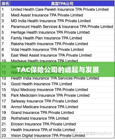 TAC保险公司的崛起与蓬勃发展之路-图1