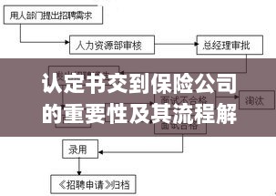 认定书交到保险公司的流程解析与重要性探讨-图1