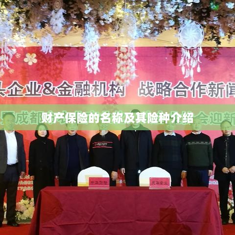 财产保险名称及险种介绍概览-图1