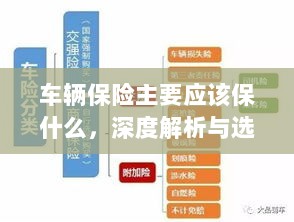 深度解析,车辆保险应该保什么及选择策略-图1 深度解析,车辆保险应该保什么及选择策略-图1