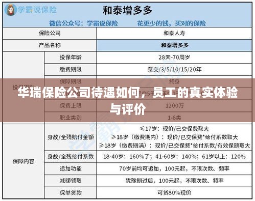 华瑞保险公司员工待遇真实体验与评价概览-图1
