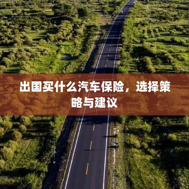 出国购车保险指南，选择策略与建议-图1