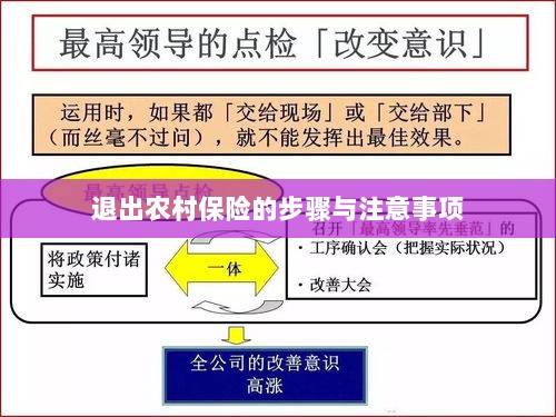 退出农村保险的步骤及注意事项详解-图1