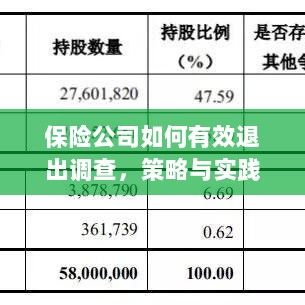 保险公司有效退出调查的策略与实践探讨-图1