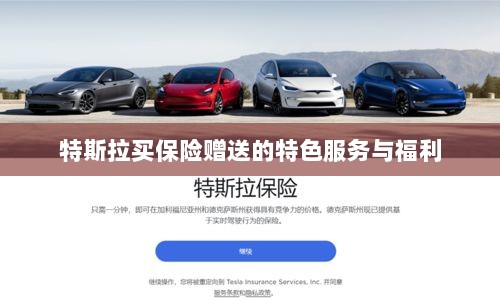 特斯拉保险特惠,独家特色服务与丰厚赠品等你来享-图1 特斯拉保险特惠,独家特色服务与丰厚赠品等你来享-图1