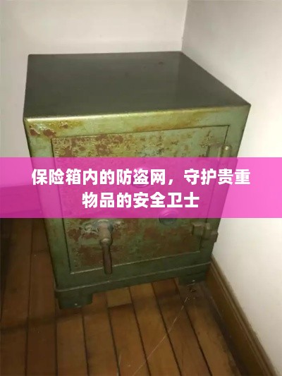 保险箱内防盗网，守护贵重物品的安全屏障-图1