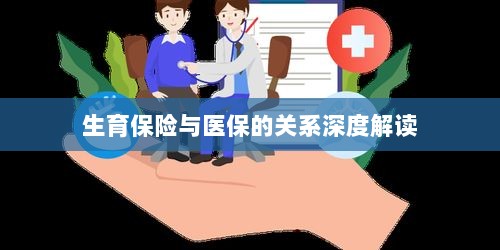 生育保险与医保关系的深度解析与解读-图1 生育保险与医保关系的深度解析与解读-图1