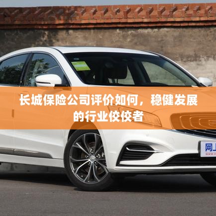 长城保险公司评价积极，行业稳健发展的佼佼者-图1