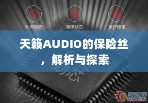 天籁AUDIO保险丝解析与探索-图1