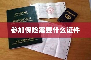 参加保险所需证件概览-图1