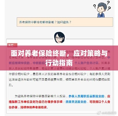 养老保险中断危机,应对策略与行动指南-图1 养老保险中断危机,应对策略与行动指南-图1