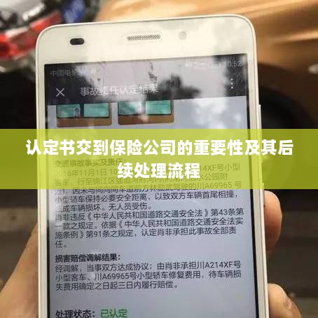 认定书对保险公司的重要性及后续处理流程详解-图1 认定书对保险公司的重要性及后续处理流程详解-图1