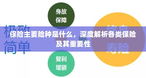 深度解析，保险主要险种及其重要性介绍-图1