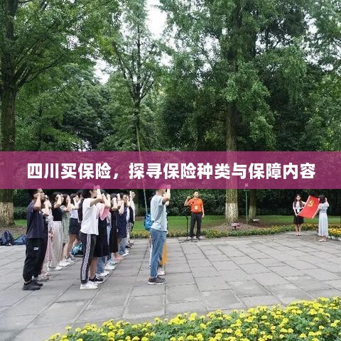 四川保险探秘,种类与保障内容全解析-图1 四川保险探秘,种类与保障内容全解析-图1