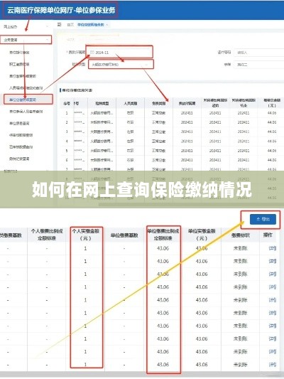 网上查询保险缴纳情况攻略-图1 网上查询保险缴纳情况攻略-图1