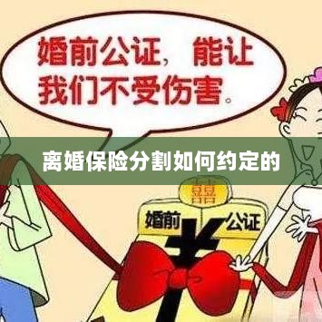 离婚保险分割约定详解-图1 离婚保险分割约定详解-图1