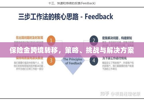 保险金跨境转移,策略、挑战及解决方案探讨-图1 保险金跨境转移,策略、挑战及解决方案探讨-图1