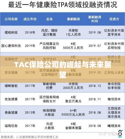 TAC保险公司的崛起及未来展望-图1 TAC保险公司的崛起及未来展望-图1