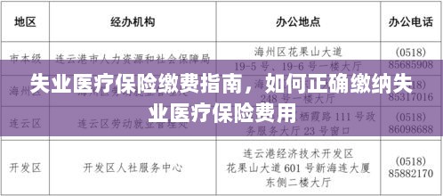 失业医疗保险缴费详解，如何正确缴纳费用指南-图1