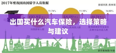 出国购车保险指南,选择策略与建议-图1 出国购车保险指南,选择策略与建议-图1