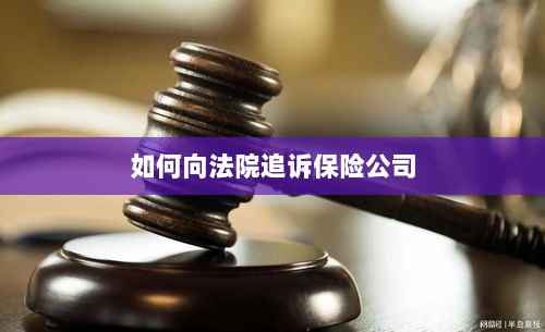 保险公司追诉指南，如何向法院提起诉讼索赔-图1