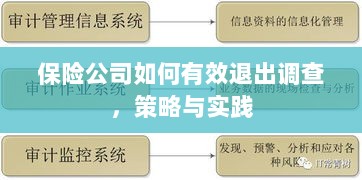 保险公司有效退出调查的策略与实践探讨-图1