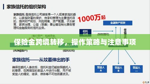 保险金跨境转移,操作策略及注意事项指南-图1 保险金跨境转移,操作策略及注意事项指南-图1
