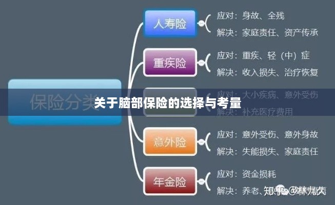 脑部保险的选择与考量指南-图1