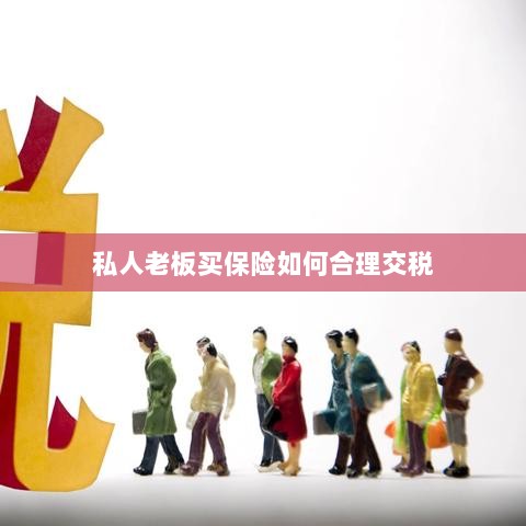 私人老板如何合理购买保险并交税指南-图1 私人老板如何合理购买保险并交税指南-图1
