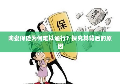 陶瓷保险难普及的背后原因探究-图1