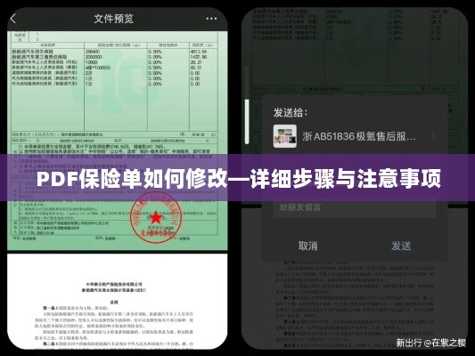 PDF保险单修改指南，步骤详解及注意事项-图1