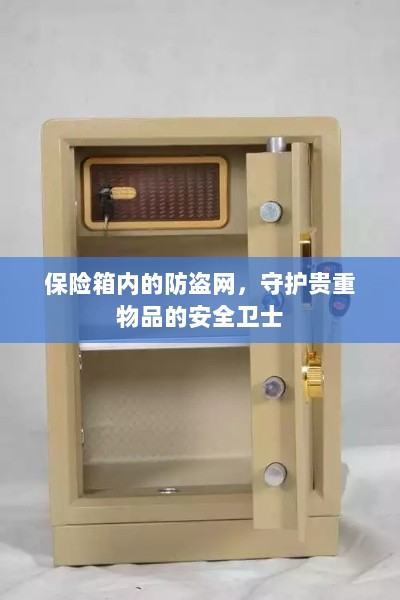 保险箱内防盗网，守护贵重物品的安全屏障-图1