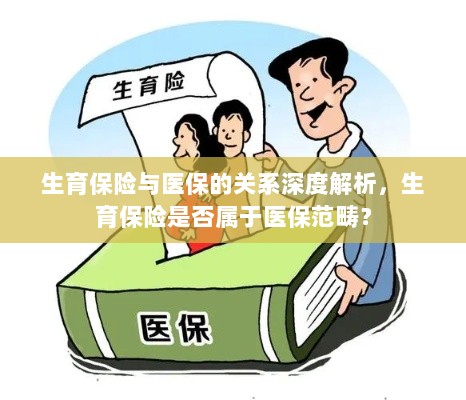 生育保险与医保深度关联解析，生育保险是否归入医保范畴？-图1