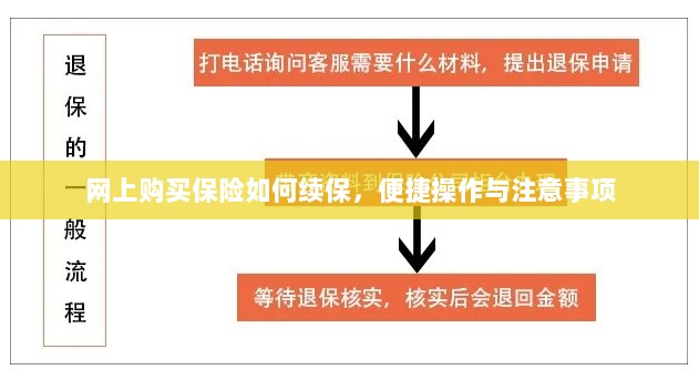 网上保险续保攻略,便捷操作及注意事项-图1 网上保险续保攻略,便捷操作及注意事项-图1