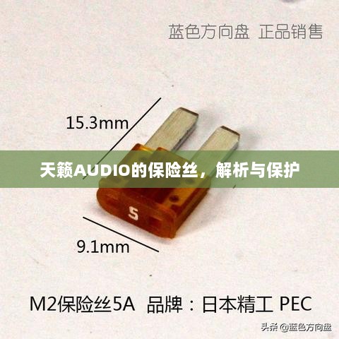 天籁AUDIO保险丝解析与保护指南-图1 天籁AUDIO保险丝解析与保护指南-图1