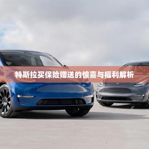 特斯拉保险赠品福利大解析，惊喜与优惠一网打尽！-图1