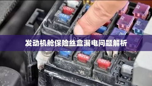 发动机舱保险丝盒漏电问题深度解析-图1 发动机舱保险丝盒漏电问题深度解析-图1