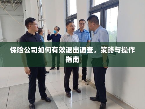 保险公司调查退出策略与操作指南，有效方法与步骤-图1