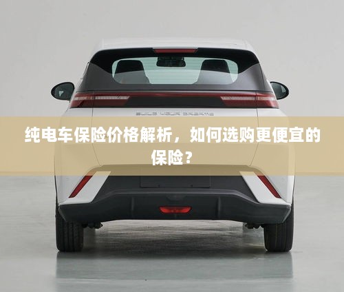 纯电车保险价格解析，如何选购更经济的保险方案？-图1