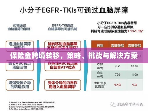 保险金跨境转移，策略、挑战及解决方案探讨-图1